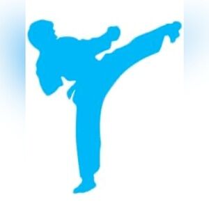 Karate Kick Decal Sticker Martial Arts for Car Truck SUV Laptop (5.5", Blue)